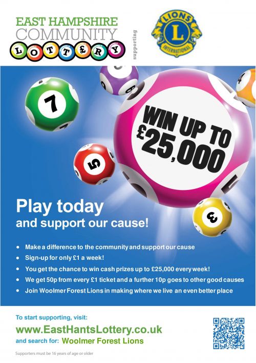play-east-hampshire-community-lottery - image-1