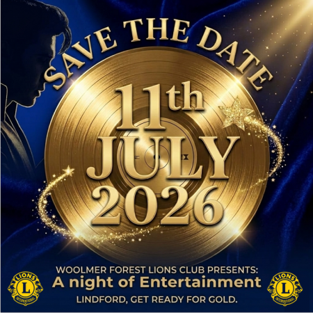 Lions The King Lions The King